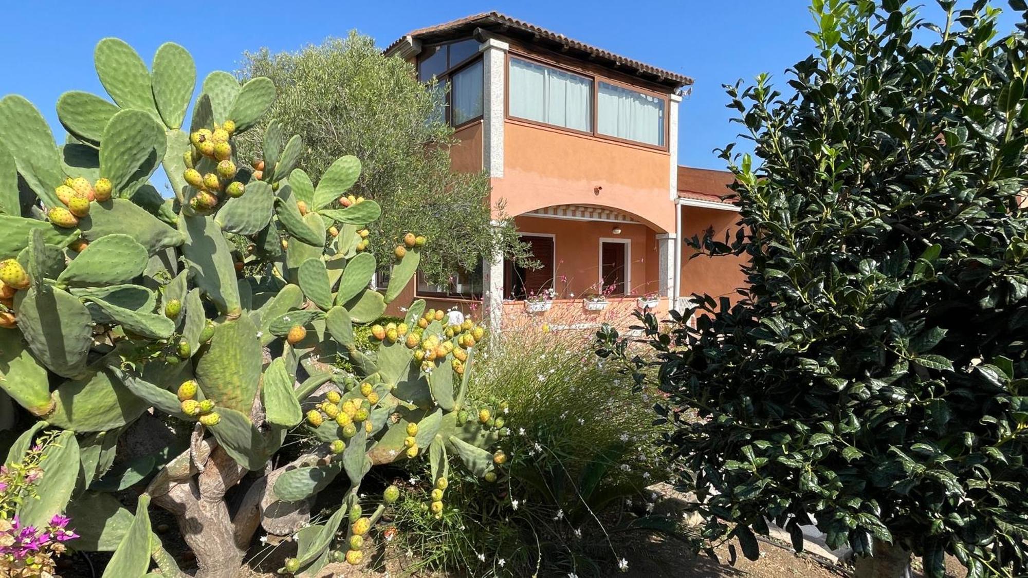 Sardegna - Villa Mirto & Flowers Olbia Buitenkant foto